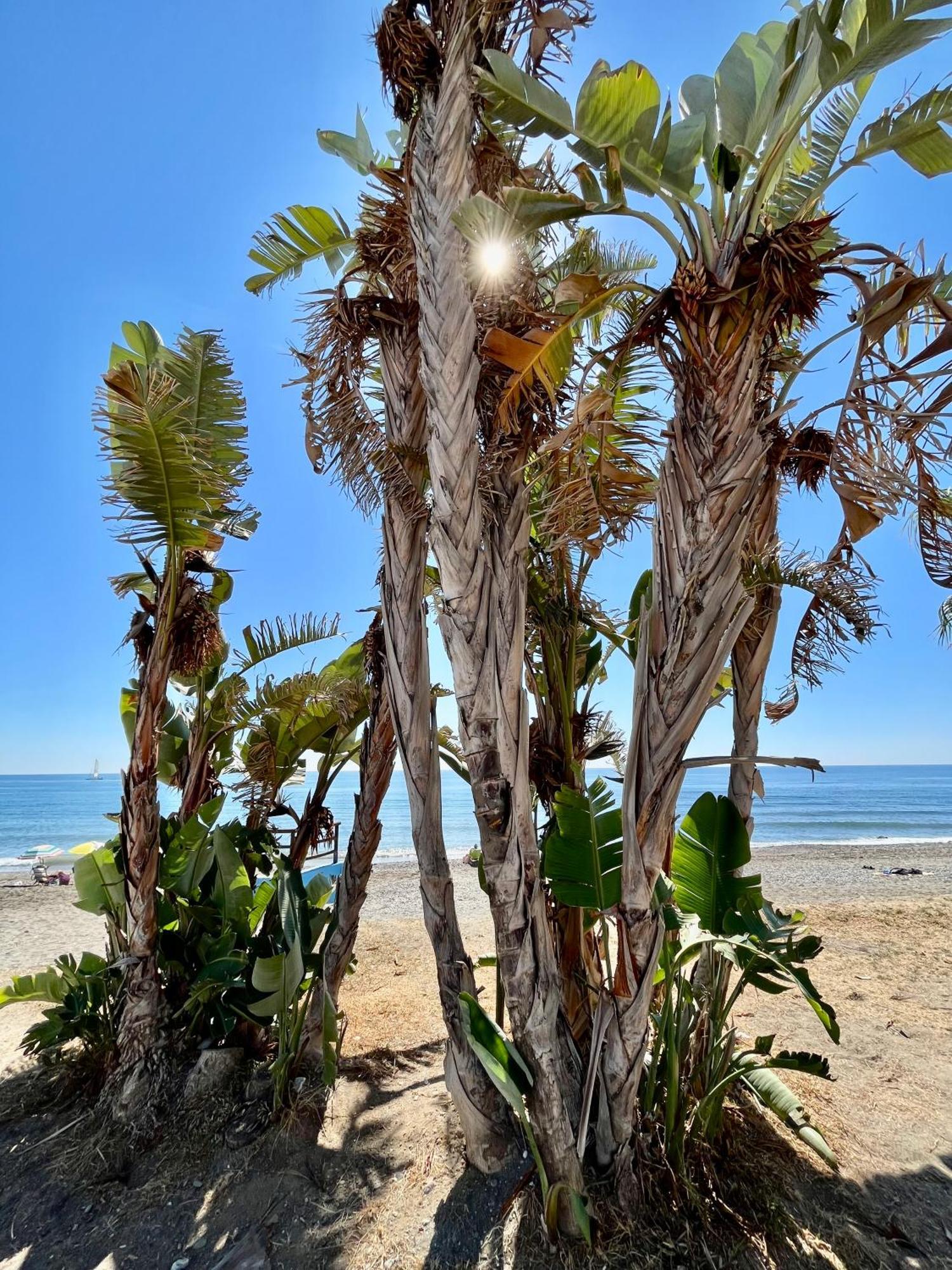 Apartamento De Playa Reformado 林孔-德拉维多利亚 外观 照片