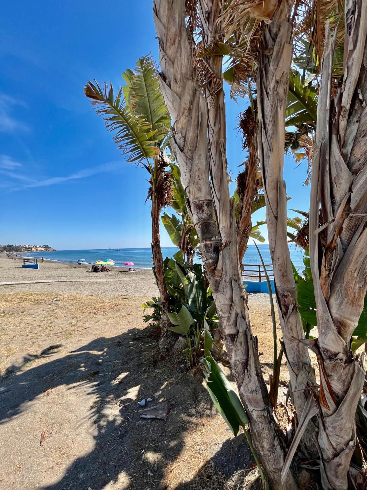 Apartamento De Playa Reformado 林孔-德拉维多利亚 外观 照片